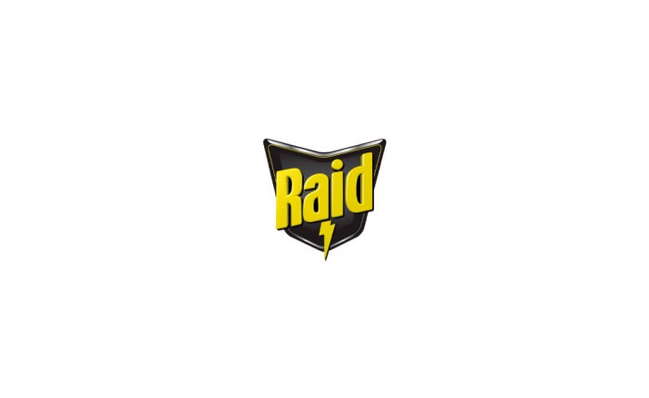 Avalde Digital Agency Sydney Brisbane Digital Agency game app design and development for RAID - The Game