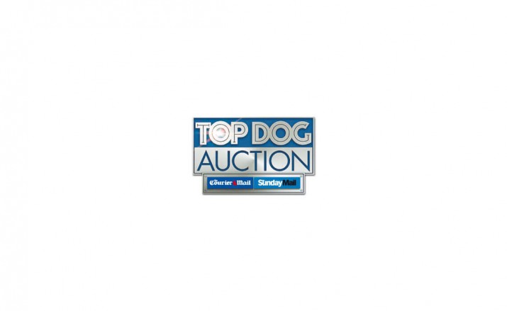 Avalde Digital Agency Sydney Brisbane Online Auction system development Auction Dollar